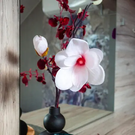 Vetevana Kodumajutus *