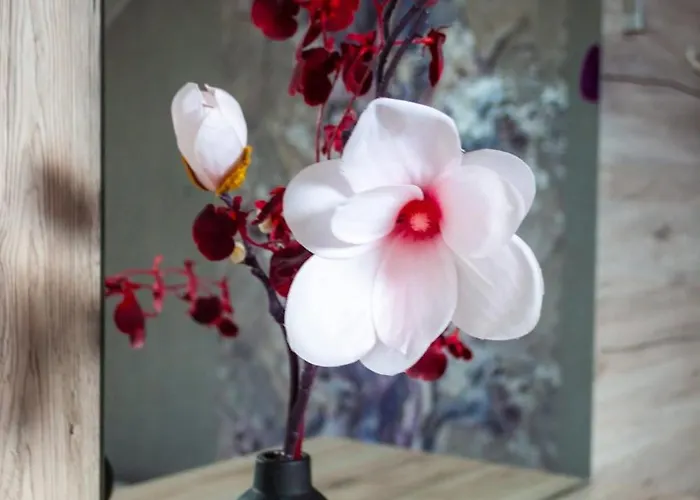 Vetevana Kodumajutus *