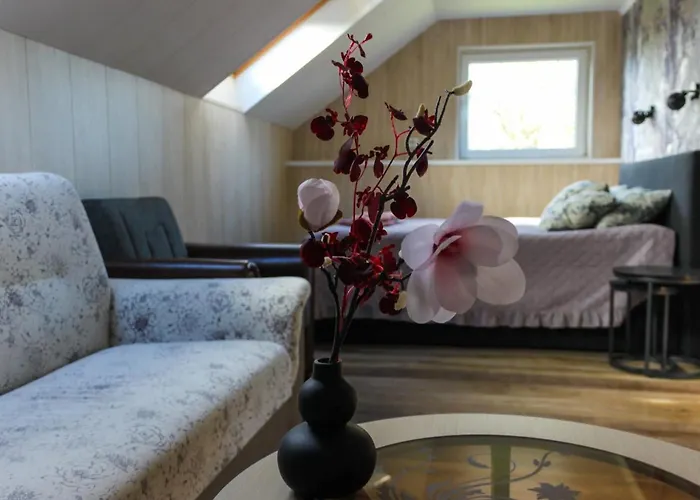 Vetevana Kodumajutus * קורסארה